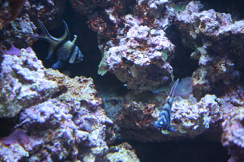 Killikus&reg; Fotographie